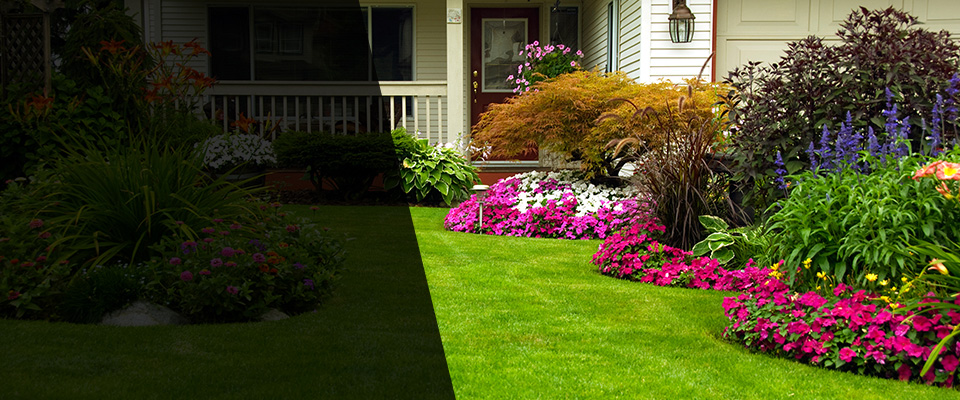 Old Greenwich Landscapers