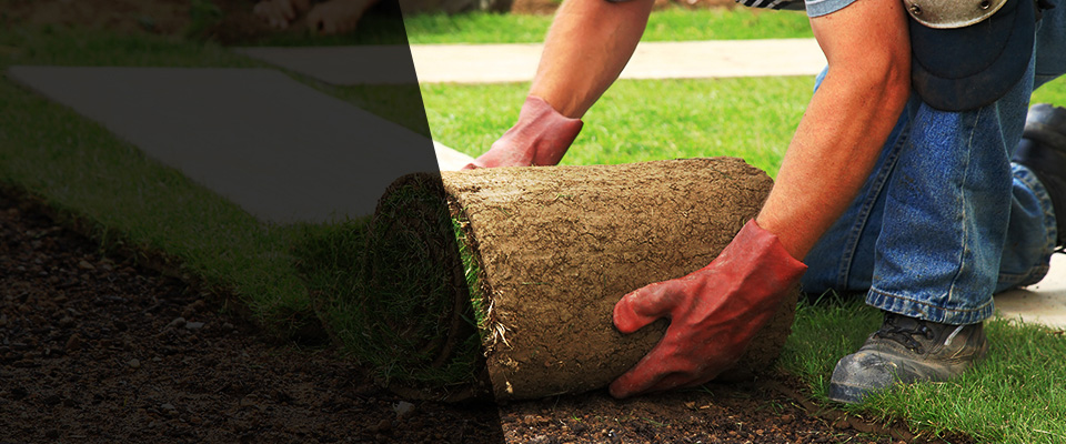 Old Greenwich Landscapers